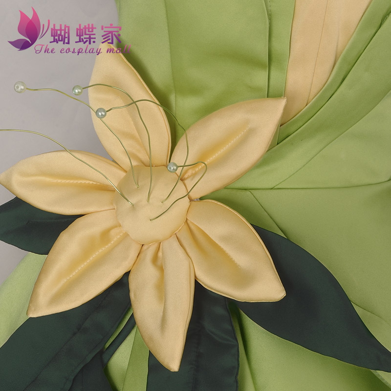 Princess Tiana Dress Cosplay C - Women'S Accessories H&M 评论和价格